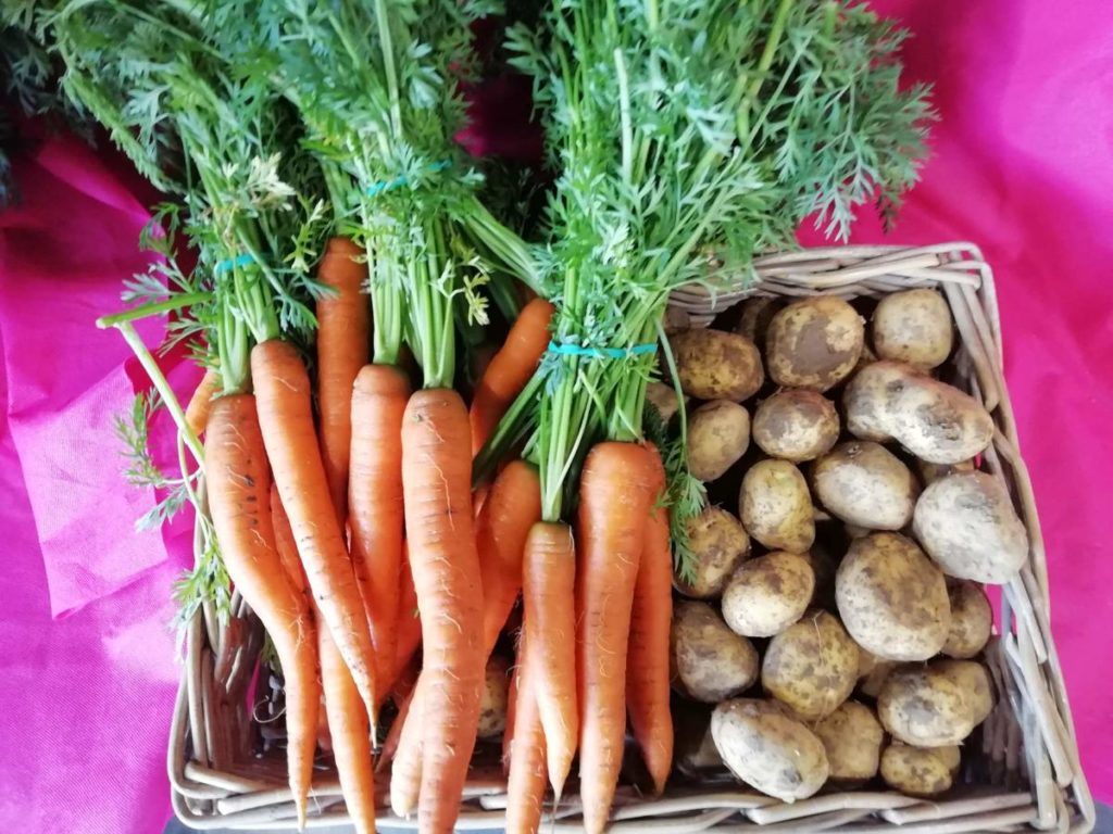 Carottes et pommes de terre