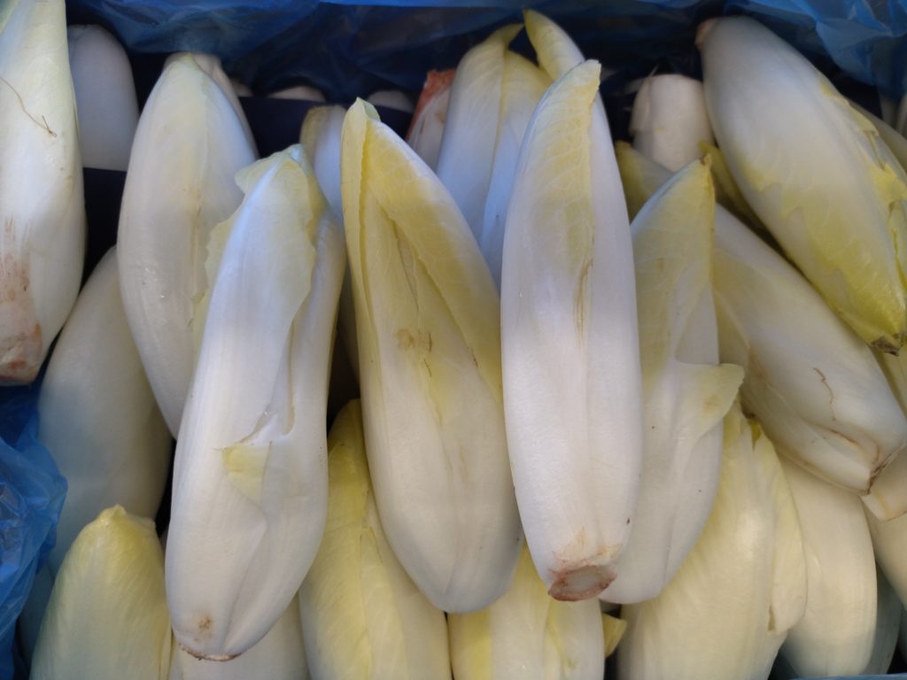 Endives de notre agriculteur