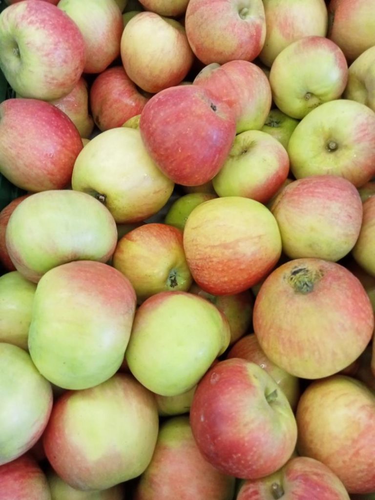 Pomme Alkemène Vergers Deroo